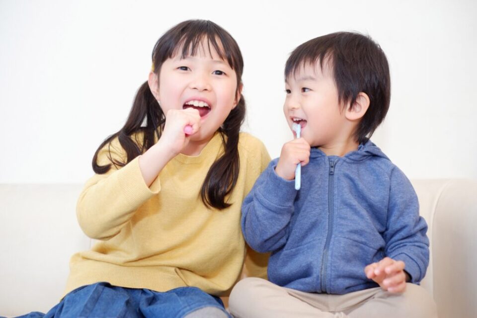 豚毛歯ブラシ